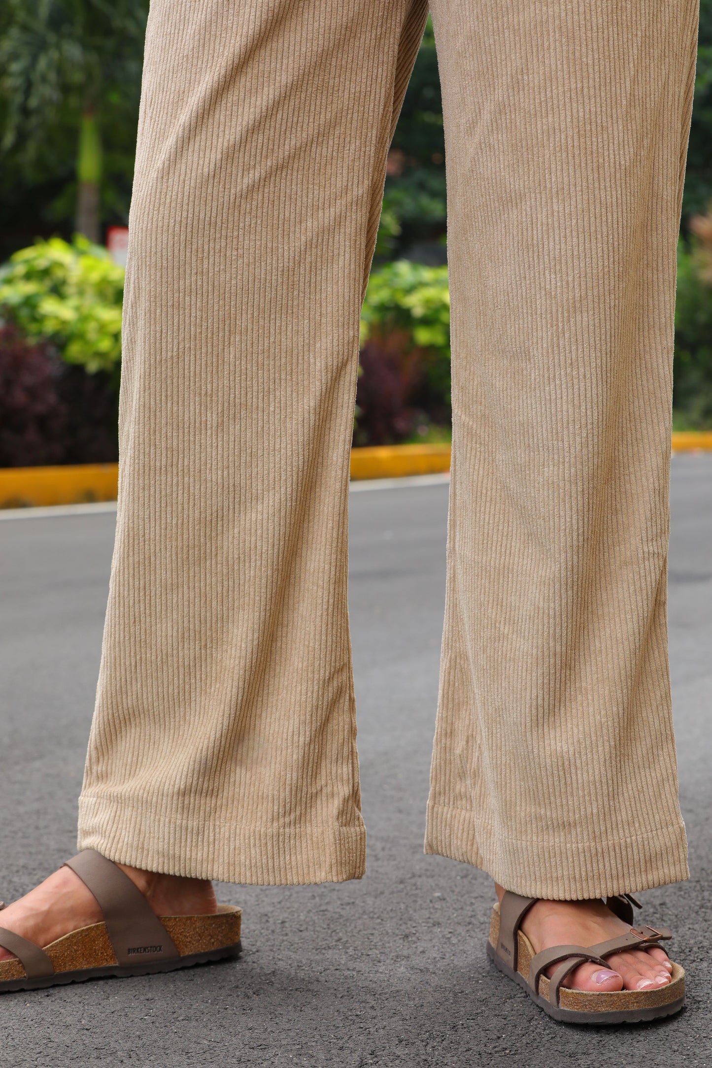 Café Comfort Pants